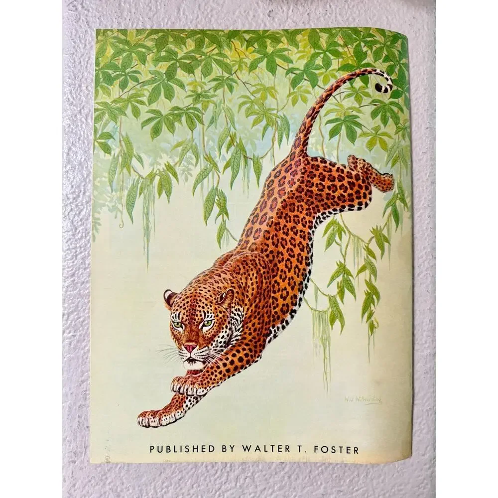 The Cats In Action by Walter J. Wilwerding Walter T. Foster Art Books #70